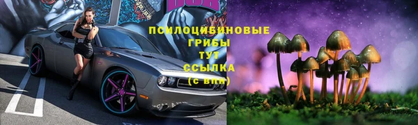 гашик Алексин