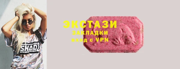 гашик Алексин