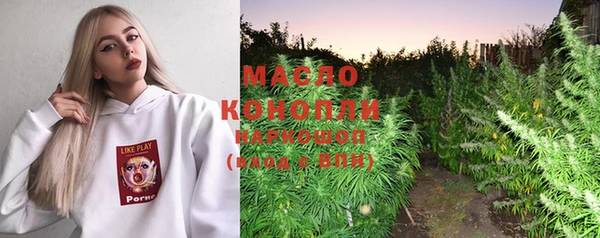 гашик Алексин