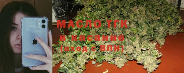 гашик Алексин