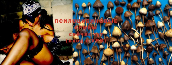 соль курить ск Алзамай