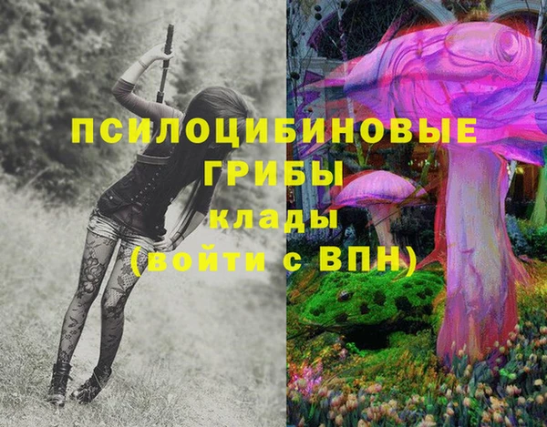 гашик Алексин