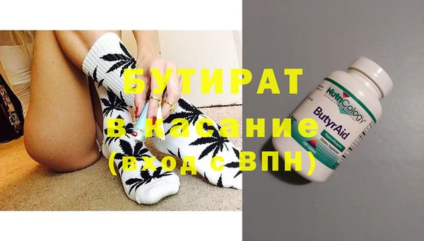 гашик Алексин