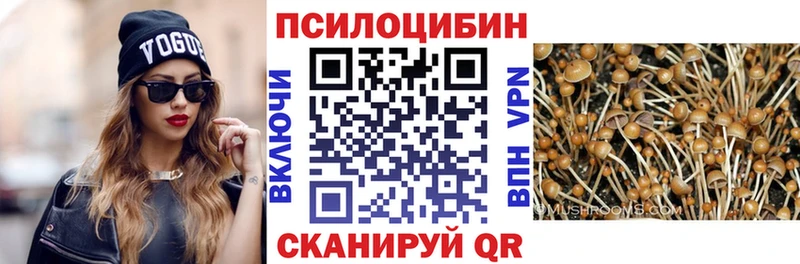 Псилоцибиновые грибы ЛСД  блэк спрут рабочий сайт  Саки 