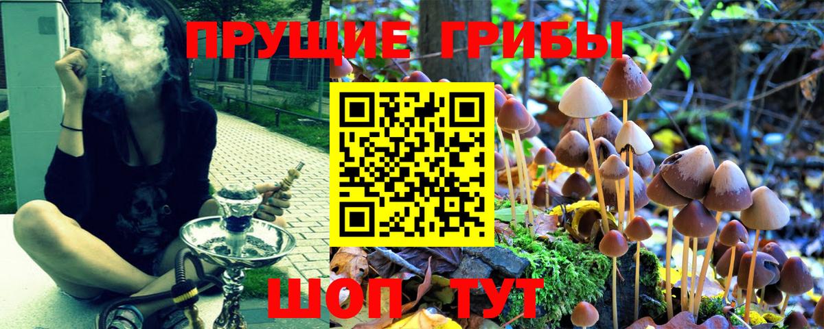 Галлюциногенные грибы Psilocybe Саки